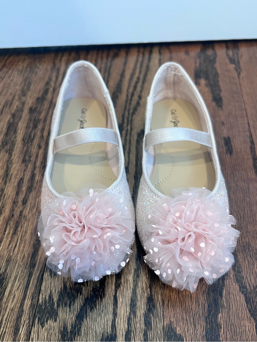 NWOT! Never been worn. Toddler girl pink ballet flats